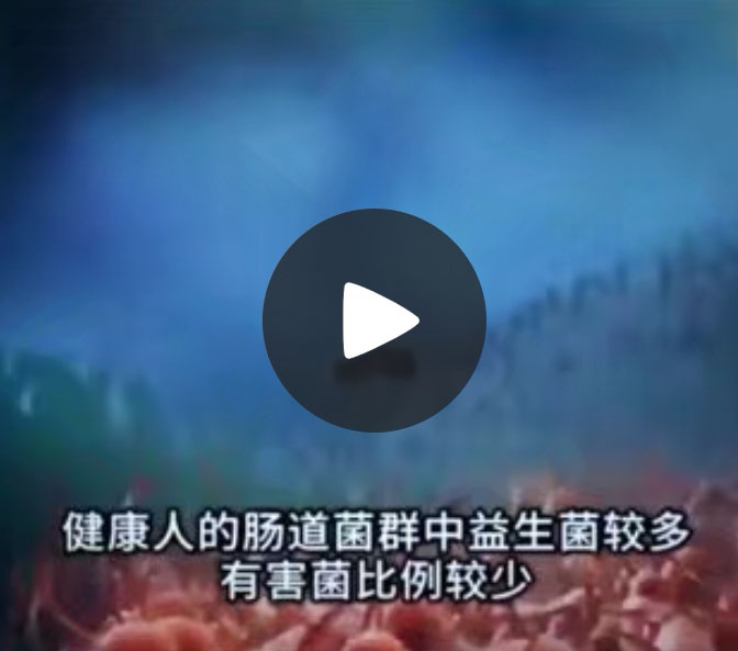 益生菌科普視頻